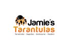 Jamie's-tarantulas.jpg