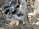 IMG_20201217_154952.jpg