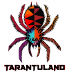 SPIDERfinal (1).png