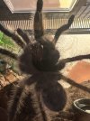 IMG_0597.jpeg