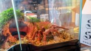 IMG_20250424_094459889~2.jpg