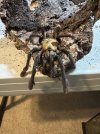 IMG_3749.jpeg