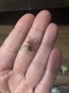 IMG_0480.jpeg