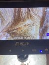 IMG_1985.jpeg