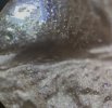 IMG_7384.jpeg