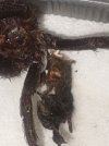 IMG_0806.jpeg