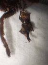 IMG_0808.jpeg