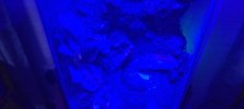 20260803_205325.jpg