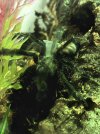 IMG_3780.jpeg