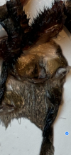 IMG_5179.png