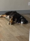 IMG_4322.jpeg