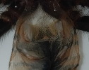 1788249986114.png