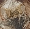 1788250017786.png