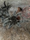 20260904_200712.jpg