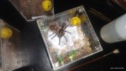IMG_20260927_124325736.jpg