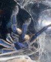 IMG_3115.jpeg