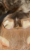 IMG_4384.jpeg