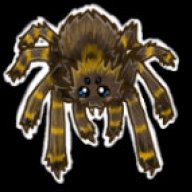 IttyBittySpider