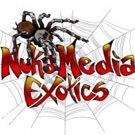 NukaMedia Exotics