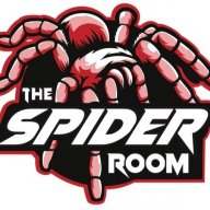 thespiderroom