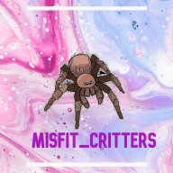 misfit_critters