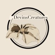 DevinsCreatures