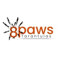8paws Tarantulas