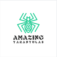 Amazing Tarantulas