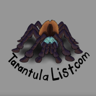 TarantulaList