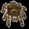 IttyBittySpider