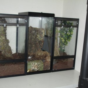 Jungle Box 10 gallon conversion kit