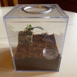 Bumble's new home