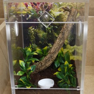 Home made enclosure.