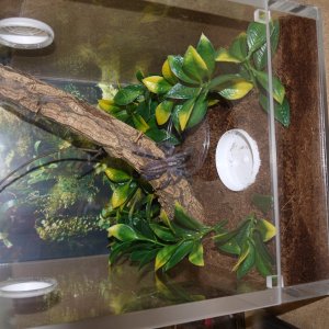 Cliff got himself a mortgage for a new pad!