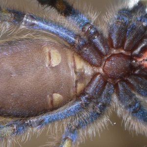 And I still think he's a boy! ;)