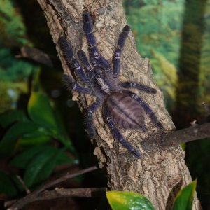 And Burton is settling into her new home too.