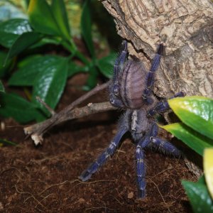 Bit of a handstand to test the floor in the new house.