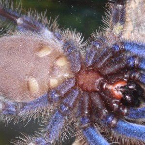 And I still think she's a girl.. ;)