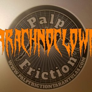 Palp friction unboxing