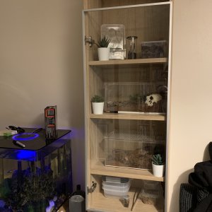 New shelving