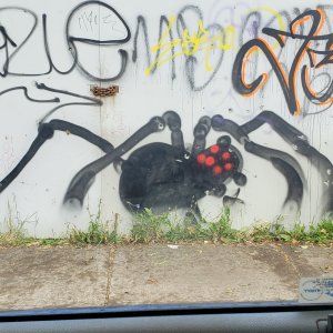 Local graffiti