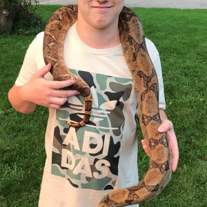 New Boa!!!